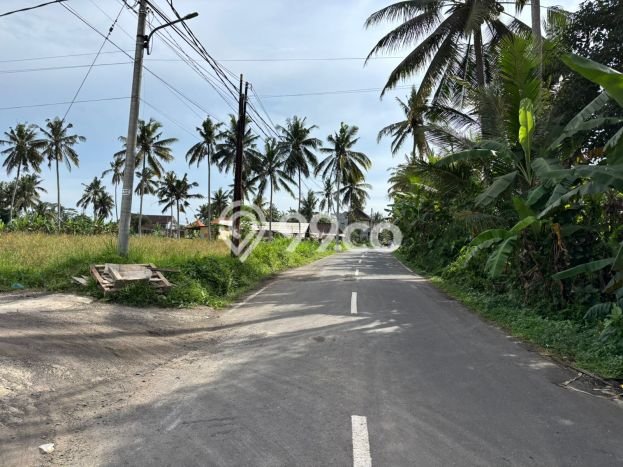 Dijual Tanah Lokasi Pejeng, Gianyar Seluas 2000m2 Dijual Tanah Lokasi Pejeng, Gianyar Seluas 2000m2