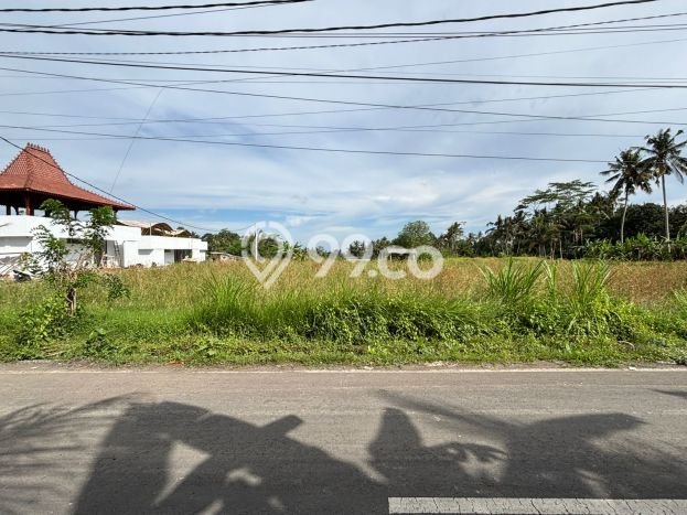 Dijual Tanah Lokasi Pejeng, Gianyar Seluas 2000m2 Dijual Tanah Lokasi Pejeng, Gianyar Seluas 2000m2