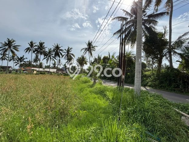 Dijual Tanah Lokasi Pejeng, Gianyar Seluas 2000m2 Dijual Tanah Lokasi Pejeng, Gianyar Seluas 2000m2