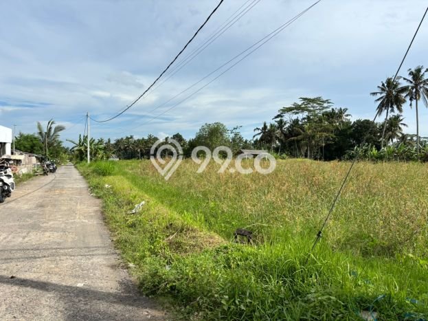 Dijual Tanah Lokasi Pejeng, Gianyar Seluas 2000m2 Dijual Tanah Lokasi Pejeng, Gianyar Seluas 2000m2