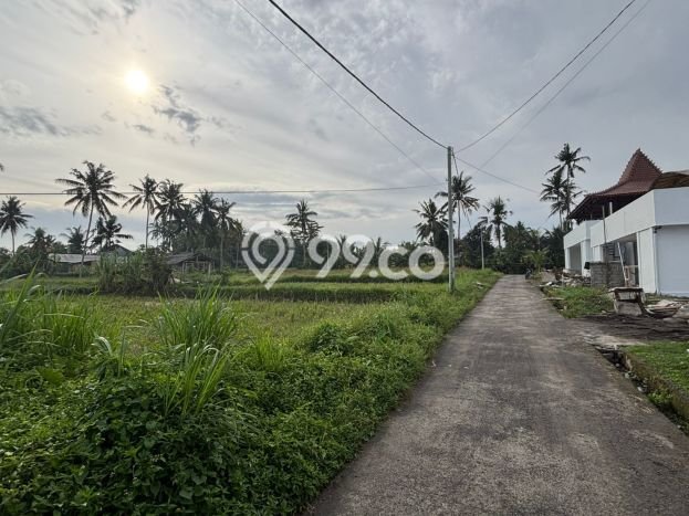 Dijual Tanah Lokasi Pejeng, Gianyar Seluas 2000m2 Dijual Tanah Lokasi Pejeng, Gianyar Seluas 2000m2
