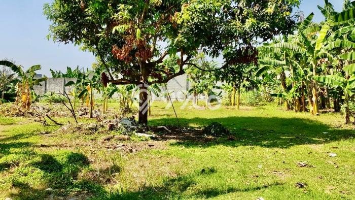 Tanah Dijual di Tangerang Selatan Seluas 3300m2 Strategis Tanah Dijual di Tangerang Selatan Seluas 3300m2 Strategis