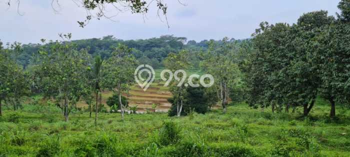 Tanah Dijual Area Strategis di Mekarsari Bogor 100000m2 Tanah Dijual Area Strategis di Mekarsari Bogor 100000m2