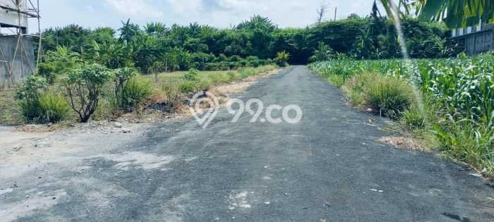 Tanah Siap Bangun Dijual di Denpasar Punya Luas 200m2 Tanah Siap Bangun Dijual di Denpasar Punya Luas 200m2
