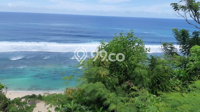 Kavling Tanah untuk Disewa di Ungasan Lahan Luas 4927m2 Kavling Tanah untuk Disewa di Ungasan Lahan Luas 4927m2