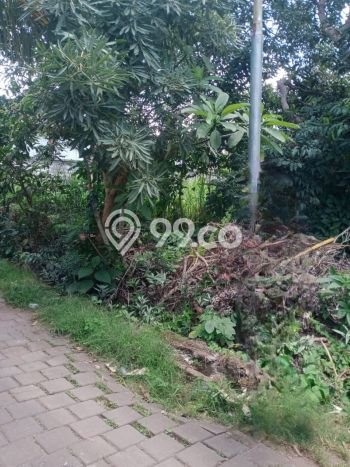 Tanah Dijual Area Strategis di Pecatu Badung 1000m2 Tanah Dijual Area Strategis di Pecatu Badung 1000m2