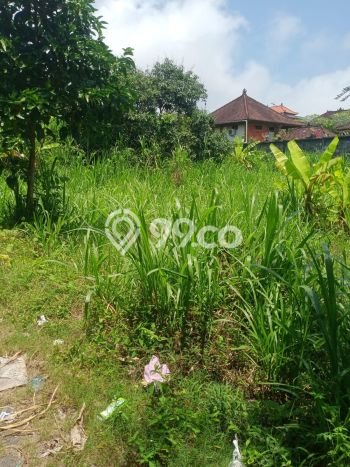 Tanah Dijual Area Strategis di Pecatu Badung 1000m2 Tanah Dijual Area Strategis di Pecatu Badung 1000m2