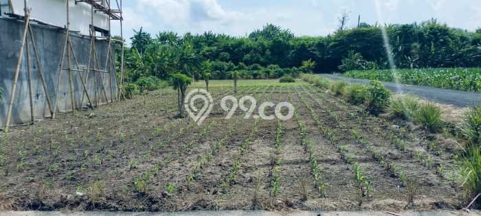 Tanah Siap Bangun Dijual di Denpasar Punya Luas 200m2 Tanah Siap Bangun Dijual di Denpasar Punya Luas 200m2