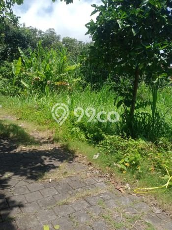 Tanah Dijual Area Strategis di Pecatu Badung 1000m2 Tanah Dijual Area Strategis di Pecatu Badung 1000m2