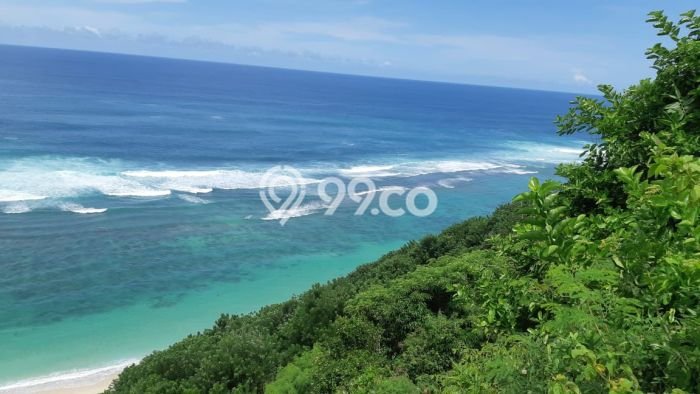 Kavling Tanah untuk Disewa di Ungasan Lahan Luas 4927m2 Kavling Tanah untuk Disewa di Ungasan Lahan Luas 4927m2