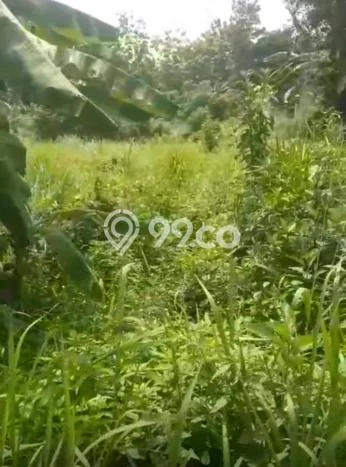 Kavling Tanah di Tigaraksa Dijual Luas 2000m2 Legalitas SHM Kavling Tanah di Tigaraksa Dijual Luas 2000m2 Legalitas SHM
