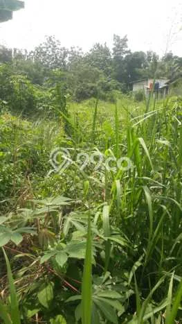 Kavling Tanah di Tigaraksa Dijual Luas 2000m2 Legalitas SHM Kavling Tanah di Tigaraksa Dijual Luas 2000m2 Legalitas SHM