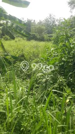 Kavling Tanah di Tigaraksa Dijual Luas 2000m2 Legalitas SHM Kavling Tanah di Tigaraksa Dijual Luas 2000m2 Legalitas SHM