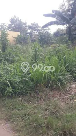 Kavling Tanah di Tigaraksa Dijual Luas 2000m2 Legalitas SHM Kavling Tanah di Tigaraksa Dijual Luas 2000m2 Legalitas SHM