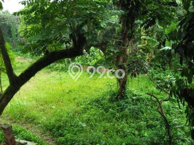 Kavling Tanah Dijual di Jagakarsa, Jakarta Selatan, Luas 7695m2 Area Strategis Kavling Tanah Dijual di Jagakarsa, Jakarta Selatan, Luas 7695m2 Area Strategis
