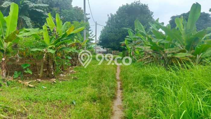 Tanah Strategis Dijual di Bojong Gede Bogor 2059m2 Tanah Strategis Dijual di Bojong Gede Bogor 2059m2