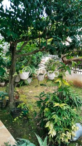 Kavling Tanah di Beji Dijual Luas 106m2 Legalitas SHM Kavling Tanah di Beji Dijual Luas 106m2 Legalitas SHM
