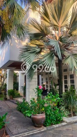 Ready to Use! Luxury House LT 3000m2 Desain Elegan di Bintaro Ready to Use! Luxury House LT 3000m2 Desain Elegan di Bintaro