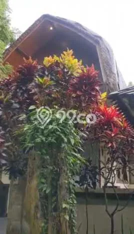 Kavling Tanah untuk Dijual di Sanggingan, Gianyar, Luas 2340m2 Kavling Tanah untuk Dijual di Sanggingan, Gianyar, Luas 2340m2