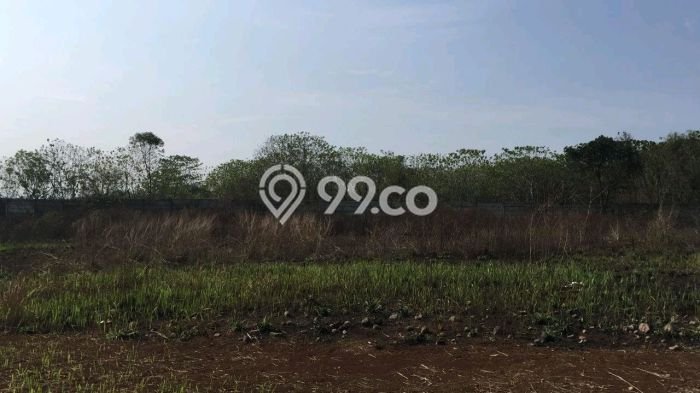 Dijual Tanah di Pamulang Tangerang Selatan Luas 4500m2 AJB Dijual Tanah di Pamulang Tangerang Selatan Luas 4500m2 AJB