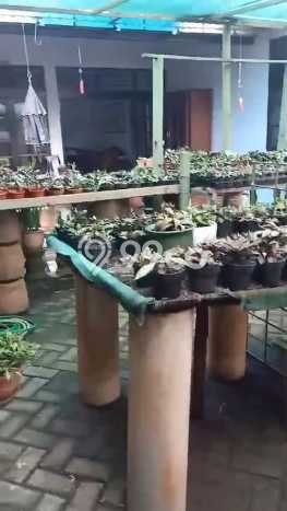 Siap Huni Rumah Mewah 5 Kamar di Kebon Jeruk Dekat ke Mana Saja Siap Huni Rumah Mewah 5 Kamar di Kebon Jeruk Dekat ke Mana Saja
