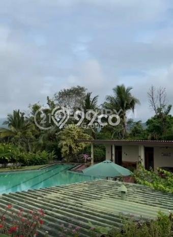 HARGA TERBAIK! Vila di , Area 150000m2m², Lokasi Elite dengan privasi terjamin HARGA TERBAIK! Vila di , Area 150000m2m², Lokasi Elite dengan privasi terjamin