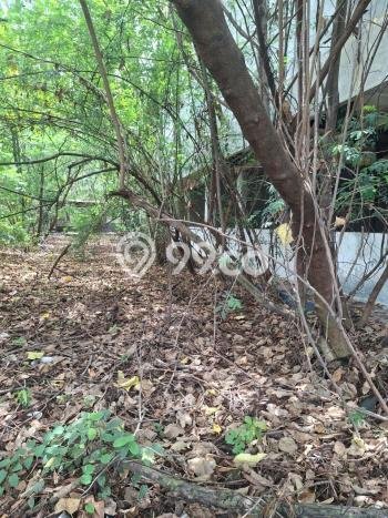 Dijual Tanah di Bekasi, Luas 6600m2 - Dijual Tanah di Bekasi, Luas 6600m2 -