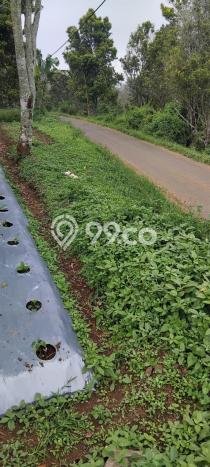 Tanah untuk Dijual Lokasi Cimalaka, Sumedang Luas 12520m2 SHM Tanah untuk Dijual Lokasi Cimalaka, Sumedang Luas 12520m2 SHM