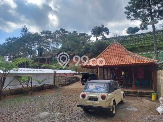 Aset Strategis! Vila Kawasan Lembang, Ukuran 2335m2m², Lokasi Premium dengan nilai meningkat Aset Strategis! Vila Kawasan Lembang, Ukuran 2335m2m², Lokasi Premium dengan nilai meningkat