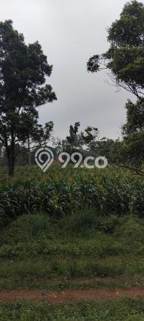 Tanah untuk Dijual Lokasi Cimalaka, Sumedang Luas 12520m2 SHM Tanah untuk Dijual Lokasi Cimalaka, Sumedang Luas 12520m2 SHM