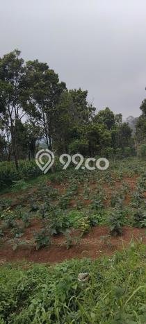 Tanah untuk Dijual Lokasi Cimalaka, Sumedang Luas 12520m2 SHM Tanah untuk Dijual Lokasi Cimalaka, Sumedang Luas 12520m2 SHM