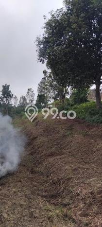 Tanah untuk Dijual Lokasi Cimalaka, Sumedang Luas 12520m2 SHM Tanah untuk Dijual Lokasi Cimalaka, Sumedang Luas 12520m2 SHM