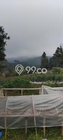 Tanah untuk Dijual Lokasi Cimalaka, Sumedang Luas 12520m2 SHM Tanah untuk Dijual Lokasi Cimalaka, Sumedang Luas 12520m2 SHM