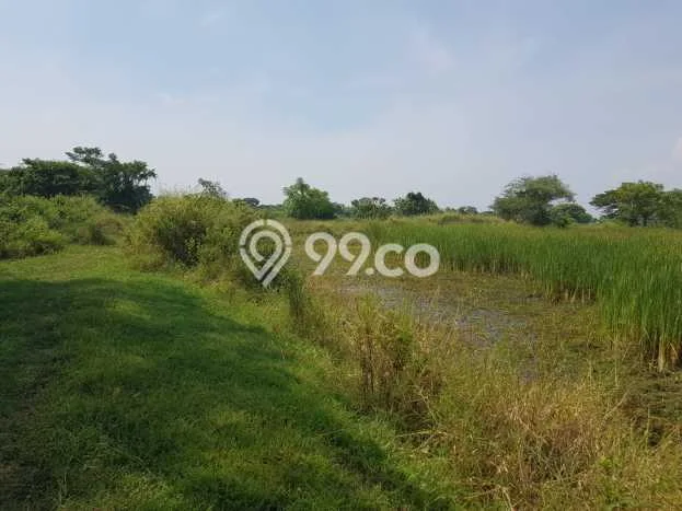 Tanah Siap Bangun Dijual di Gresik Punya Luas 40000m2 Tanah Siap Bangun Dijual di Gresik Punya Luas 40000m2