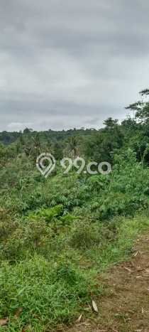 Tanah Kavling untuk Dijual di Ciseeng Bogor 36000m2 Tanah Kavling untuk Dijual di Ciseeng Bogor 36000m2