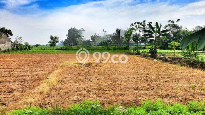 Kavling Tanah Dijual di Babelan Bekasi Spesifikasi 2478m2 Kavling Tanah Dijual di Babelan Bekasi Spesifikasi 2478m2