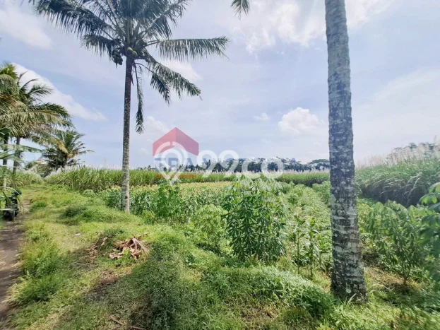 Lahan Kosong Dijual di Malang dengan Area 1152m2 Lahan Kosong Dijual di Malang dengan Area 1152m2