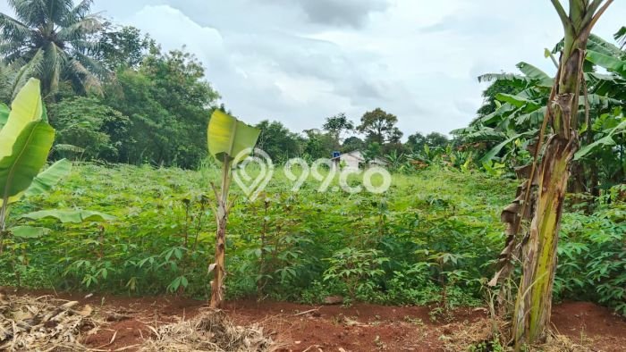 Dijual Tanah di Parung Bogor Luas 2000m2 - Dijual Tanah di Parung Bogor Luas 2000m2 -