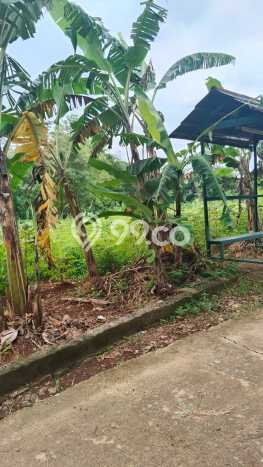 Dijual Tanah di Parung Bogor Luas 2000m2 - Dijual Tanah di Parung Bogor Luas 2000m2 -