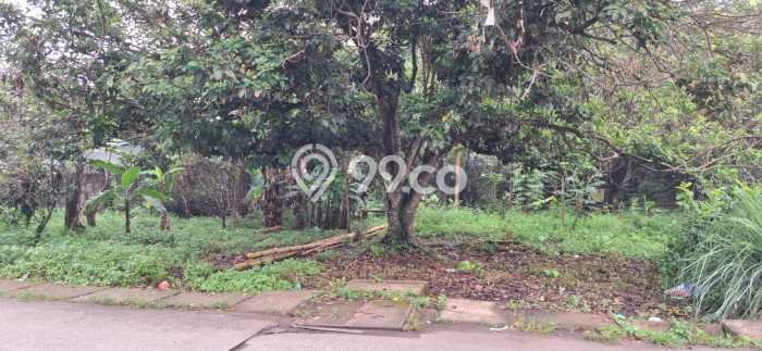 Tanah Dijual Lokasi Tigaraksa, Tangerang Luas 7390m2 Legalitas Aman Tanah Dijual Lokasi Tigaraksa, Tangerang Luas 7390m2 Legalitas Aman