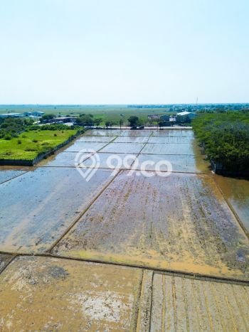 Tanah Strategis Dijual di Karawang Barat Karawang 57508m2 Tanah Strategis Dijual di Karawang Barat Karawang 57508m2