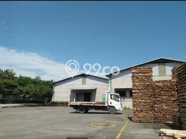 Pabrik Usaha Dijual di Batang Batang LT 42000m2 & LB 16000m2 Pabrik Usaha Dijual di Batang Batang LT 42000m2 & LB 16000m2