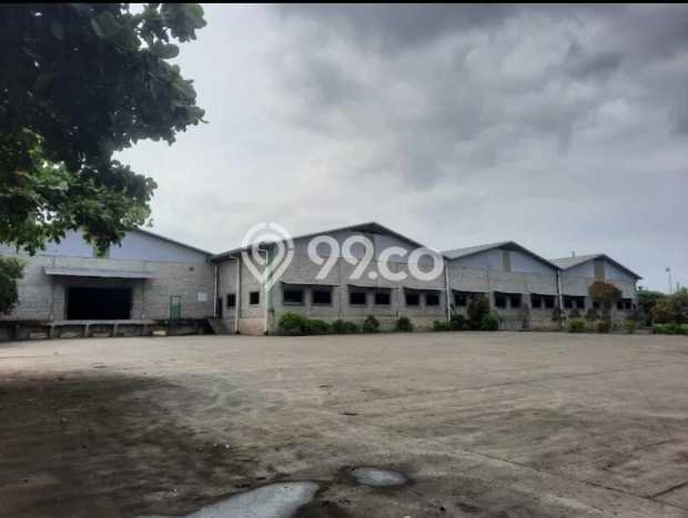 Pabrik Usaha Dijual di Batang Batang LT 42000m2 & LB 16000m2 Pabrik Usaha Dijual di Batang Batang LT 42000m2 & LB 16000m2