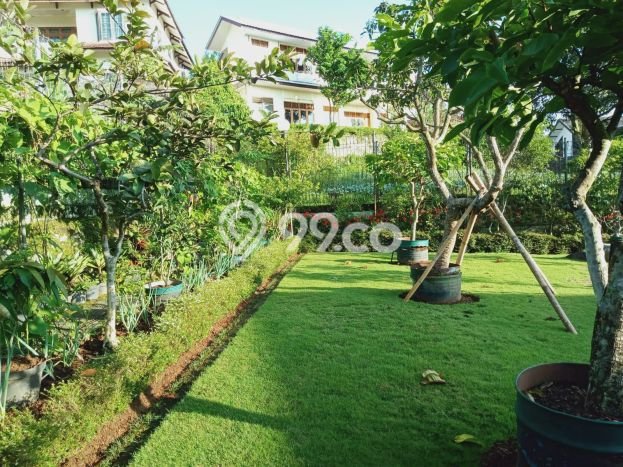 Dijual Rumah Premium dengan Fasilitas Sekitar Lengkap di Cipanas, Cianjur Dijual Rumah Premium dengan Fasilitas Sekitar Lengkap di Cipanas, Cianjur