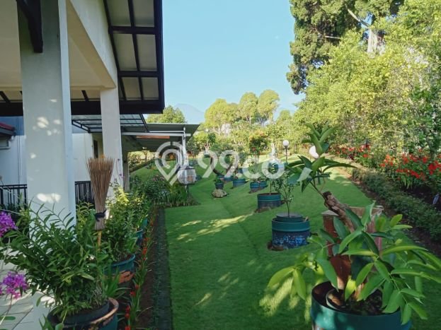 Dijual Rumah Premium dengan Fasilitas Sekitar Lengkap di Cipanas, Cianjur Dijual Rumah Premium dengan Fasilitas Sekitar Lengkap di Cipanas, Cianjur