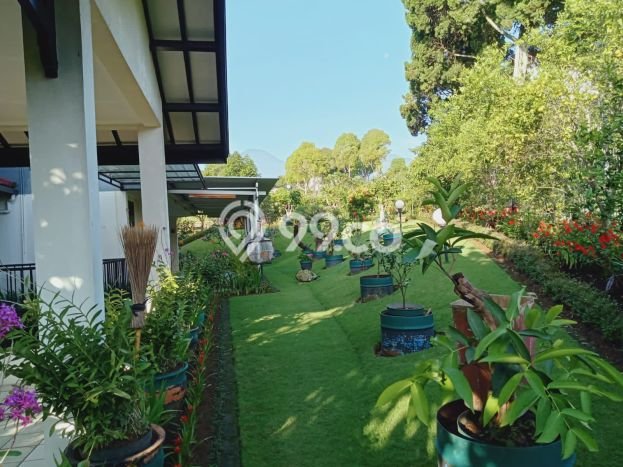 Dijual Rumah Premium dengan Fasilitas Sekitar Lengkap di Cipanas, Cianjur Dijual Rumah Premium dengan Fasilitas Sekitar Lengkap di Cipanas, Cianjur