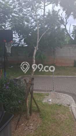 Jarang Ada! Rumah Kontrakan 3 Kamar Nyaman Siap Huni BSD City Jarang Ada! Rumah Kontrakan 3 Kamar Nyaman Siap Huni BSD City