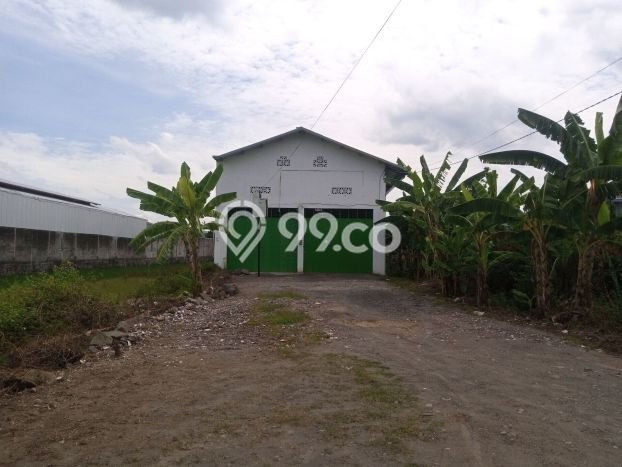 Gudang bagus disewakan di Grogol Sukoharjo dengan LB 300m2 harga sewa terbaik Gudang bagus disewakan di Grogol Sukoharjo dengan LB 300m2 harga sewa terbaik