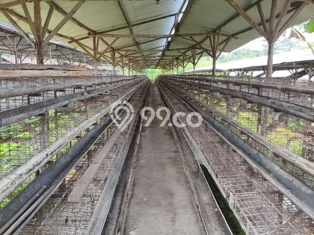 Tanah Kosong Dijual di Sukoharjo dengan Area 17371m2 Tanah Kosong Dijual di Sukoharjo dengan Area 17371m2