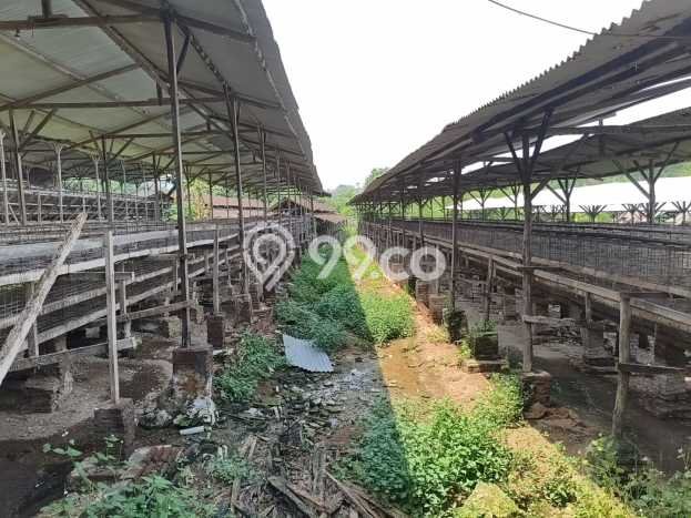 Tanah Kosong Dijual di Sukoharjo dengan Area 17371m2 Tanah Kosong Dijual di Sukoharjo dengan Area 17371m2